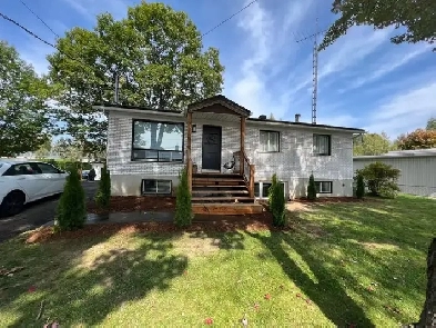 Appartement 3 chambres 1 salle de bain à Louer Image# 5