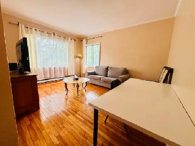 Fully Furnished & Very Spacious Apartment 3 1/2 Front River View Image# 1