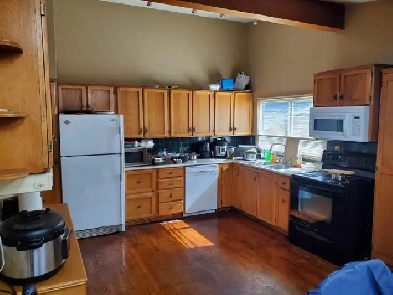 Brentwood room - minutes walk to LRT and U of C Image# 1