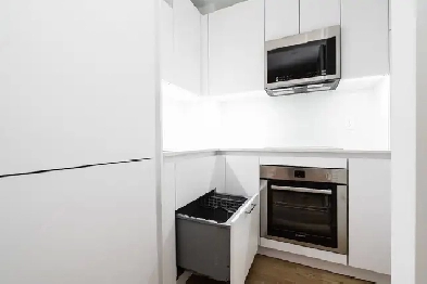 Renovated bachelor, College and Spadina - ID 1116 Image# 1