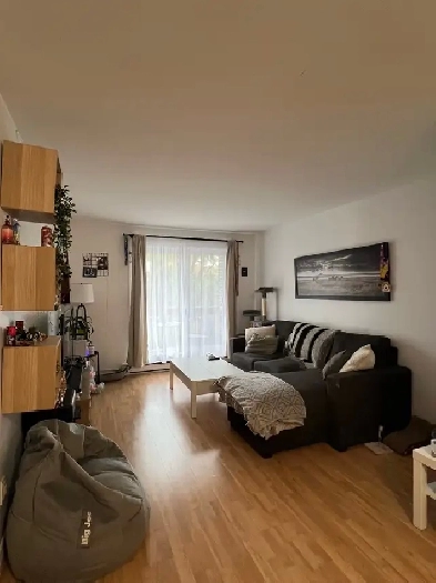 Appartement 4 1/2 à louer Image# 1