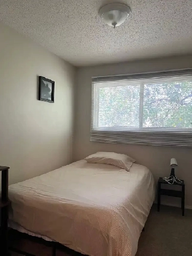 Room for Rent Image# 1