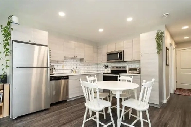 427 Saint Jean Baptiste Street - 1 (main floor) - 427 Saint Jean Image# 1