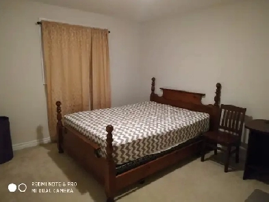 Room Close Hamilton Airport for rent Image# 1