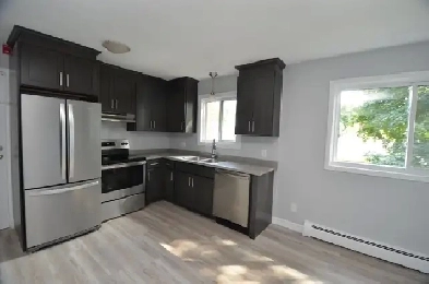 Renovated 1-bedroom - Avail Nov 1st - 25 Ottawa Image# 1