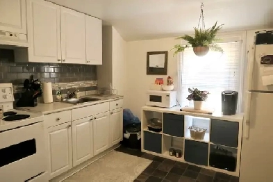 CENTRAL LOCATION 1 Bedroom   Office Downtown! Image# 1