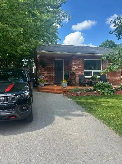 Large basement room for rent Image# 8