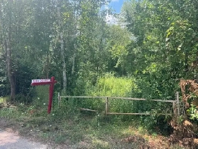 Vacant Lot 120FT x 250FT in Georgina Image# 4