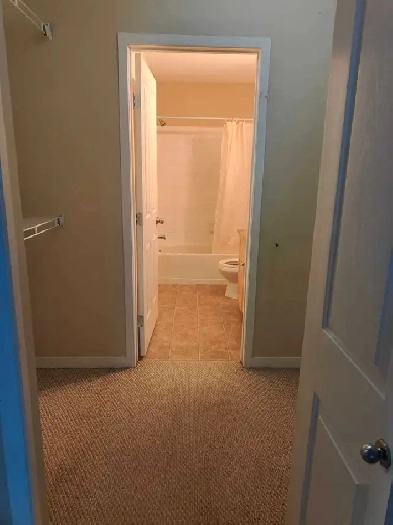 Apartment for rent Image# 1