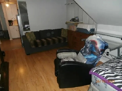 Bachelor apt. for rent, central downton area Image# 1