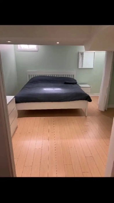 Furnished Basement Across Vaughan Mills mall for rent Image# 1
