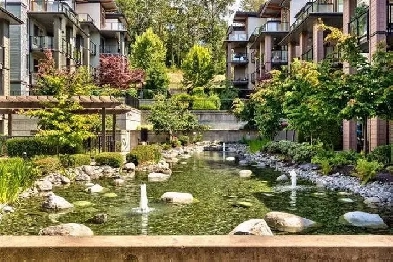 Stunning 1.5 bedroom 1 bath - Furnished Apartment in Burnaby Image# 1