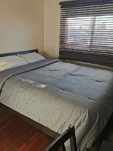 Rooms for Rent in Whitecourt, Alberta Image# 1