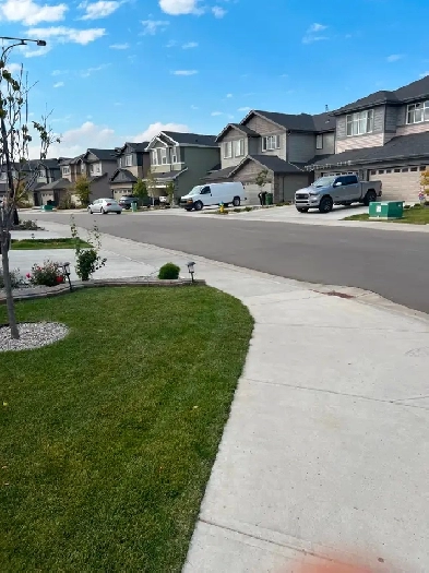 1-Bedroom fully furnished Basement Suite for Rent in Creekwood C Image# 1