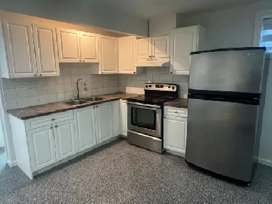 BASEMENT FOR RENT TWO BEDROOMS SADDLETOWNE Image# 1