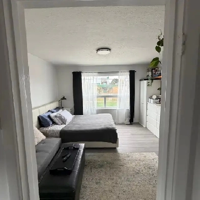 Steps to Lake, Park & School - $1495/mo -114 Seventh St, Toronto Image# 1