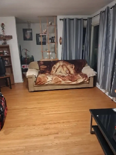 5 BEDROOM HOME - NICE SIZE ROOMS - EXTRA LARGE BACKYARD Image# 7