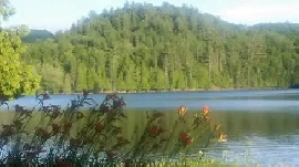 Beautiful waterfront cottage close to Ottawa Image# 9