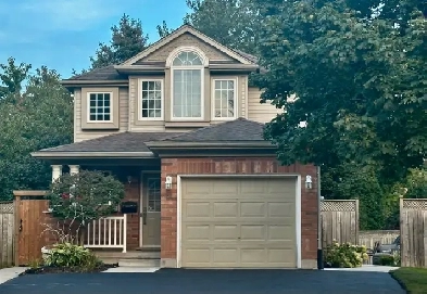 Basement fully furnished for Rent Image# 1