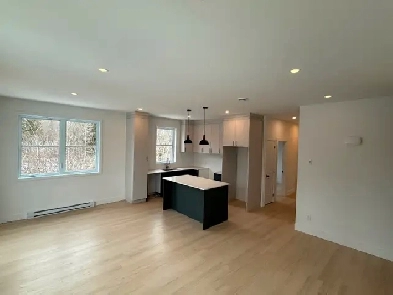 4-1/2 ET 5-1/2 à louer Knowlton, Lac-Brome Image# 1