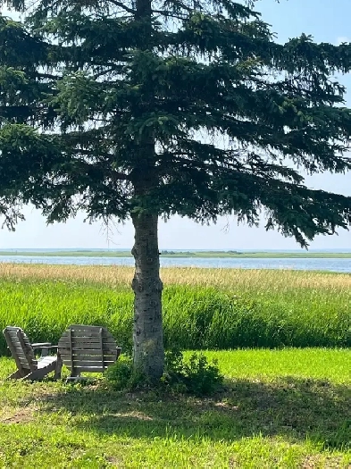 Studio Apt - All Utilities Included Image# 1