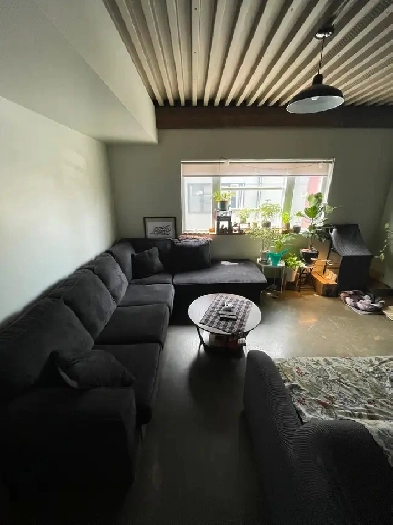 Room for rent - November 31st Image# 1