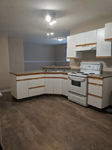 2 Bdrm Basement Suite for Rent in Blackfalds Image# 1