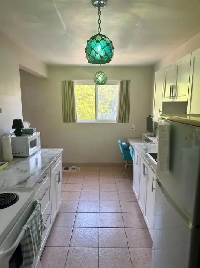 Large Modern 1bdrm APT- BRIGHT/SPACIOUS/SELF CONTAINED AVAIL Jan Image# 1