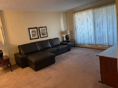 Downtown fully furnished condo in Dorchester Square Image# 1