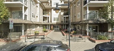 Pioneer Landing #204 Image# 1