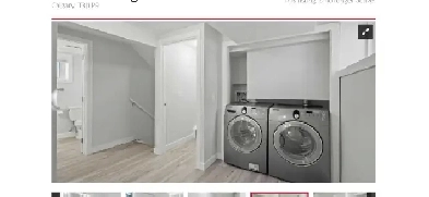 2 Bdrm 1 Bath Basement Suite for Rent in NE Calgary from Nov 1st Image# 1