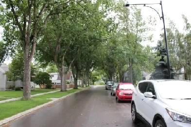 Highlands area,  2 BR   Den, all utilities included.  $1,550 Image# 1