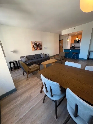 Studio, One and Two Bedroom Apartments for Rent-Downtown Ottawa Image# 1