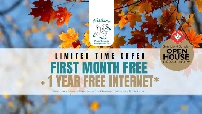 Brand New 1 Bedroom Apartment - 611 Davenport Apartments Image# 1