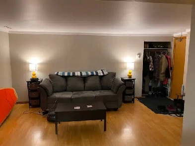 Victoria Park- Lower level one bedroom apartment Image# 1