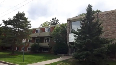 Completely renovated large 2 bedroom Image# 1