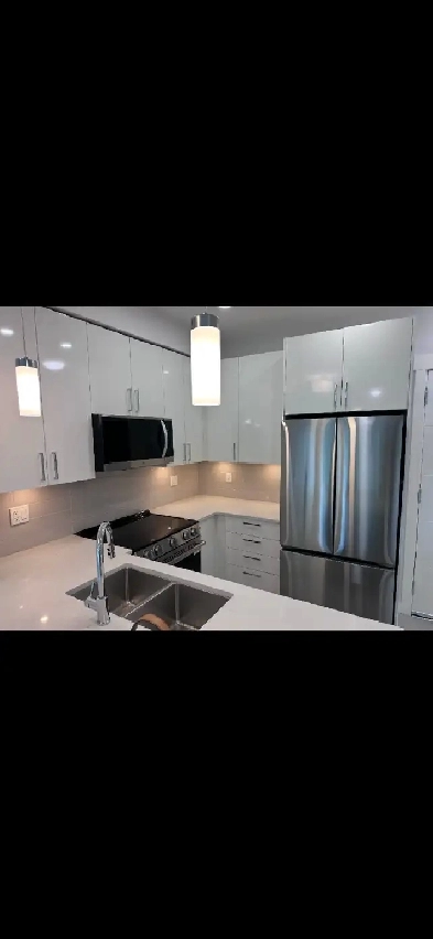 Brand New condo for rent Image# 6