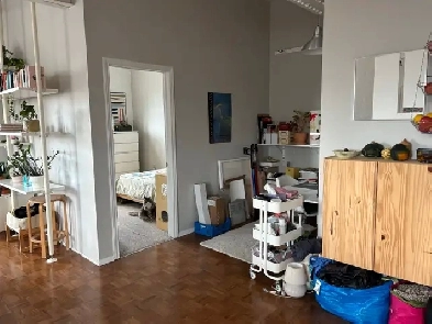 Beautiful one bedroom studio apartment on Davenport Road Image# 1