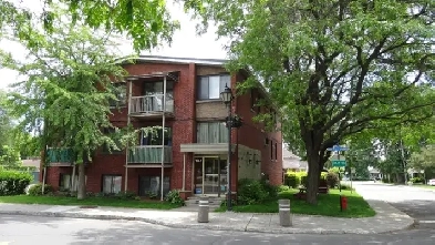 1 1/2 rénové à Dorval près des services Image# 1