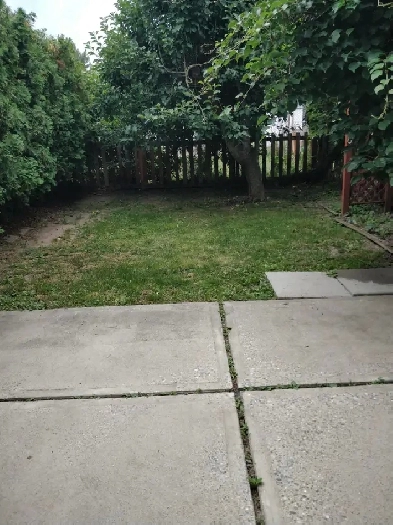 Spacious 3 bedroom suite, yard, and garden area available Dec Image# 8