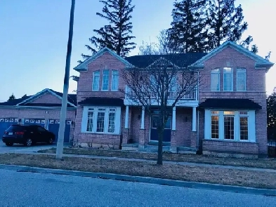 one bed room basement Apt with separeate for rent Image# 1