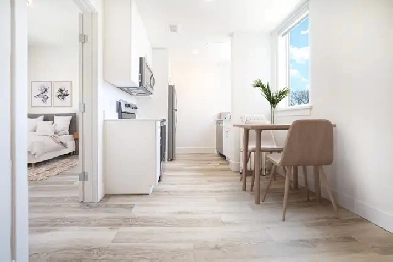 Newly Renovated 1 Bedroom Apartment! Move in Ready! Image# 1