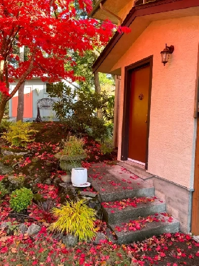 1 Bedroom 1 Bath 600 sq ft apartment in Esquimalt Image# 1