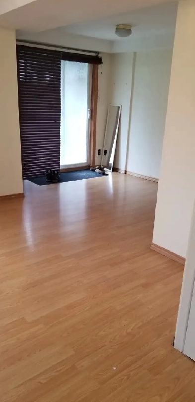 Walk-out Basement Apartment for RENT Mavis and Eglinton Image# 1