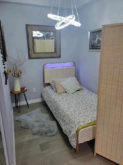 Cute single bedroom / den for rent in Mississauga 647-444-0553 Image# 1