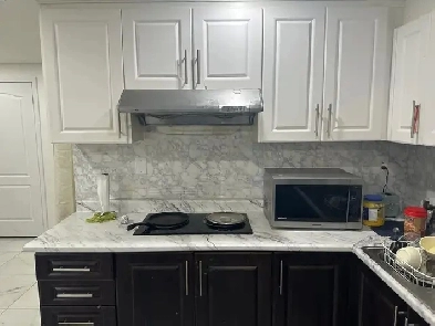 One-Bedroom Basement for Rent in Brampton Image# 1