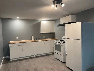 Lower unit of duplex in Salmon River Image# 3