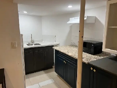 BASEMENT APARTMENT Image# 1