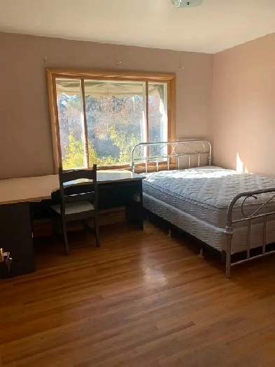 Spacious Rooms in Banff Trail for Rent close to UC/SAIT Image# 1