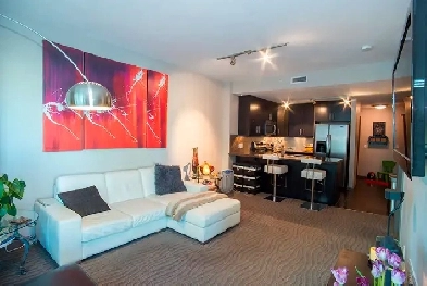 Luxury, One-bedroom Furnished Downtown Condo For Rent Image# 1